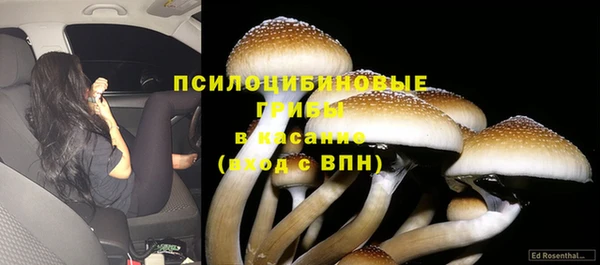 МДПВ Алексеевка