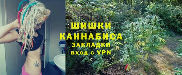 гашик Алексин