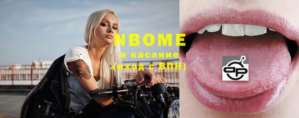 гашик Алексин