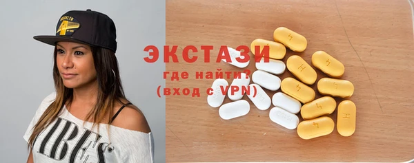 гашик Алексин