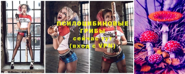МДПВ Алексеевка