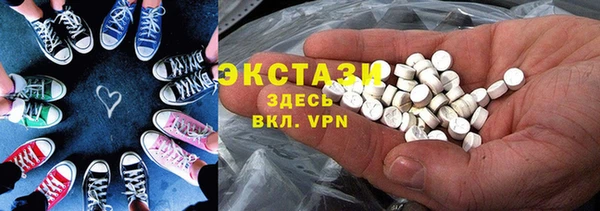 гашик Алексин