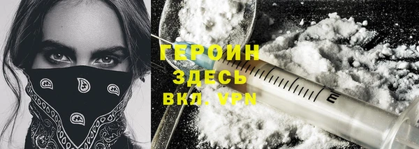 гашик Алексин