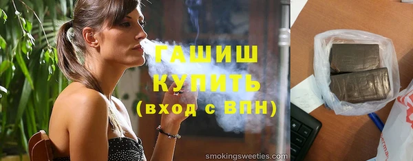 гашик Алексин