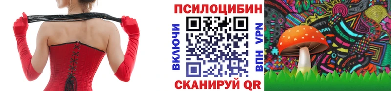 Псилоцибиновые грибы GOLDEN TEACHER Волоколамск